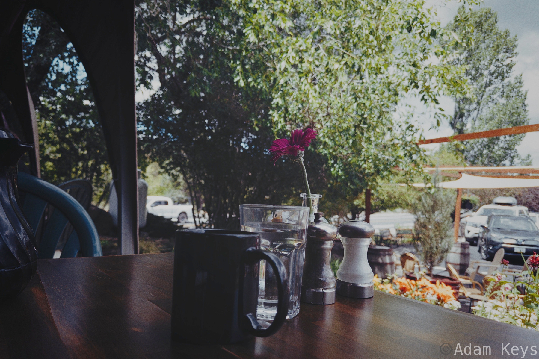 A wooden table with a dark mug of coffee, a glass of water, and a single pink flower in a small vase is set near a bright outdoor area with trees and parked cars.